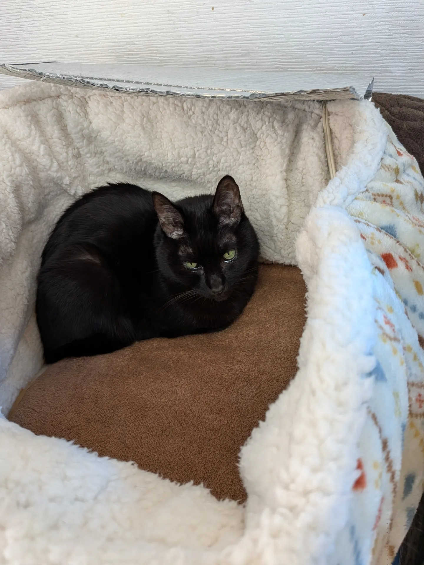 床屋で叶える広島県江田島市の散髪体験と地域の魅力を徹底ガイド